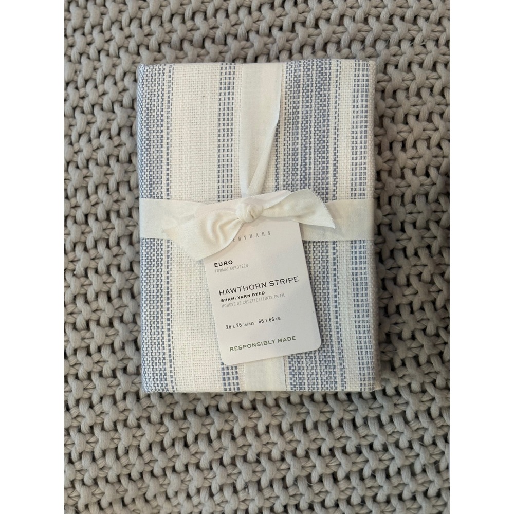 Pottery Barn Hawthorn Stripe Euro Sham Blue White Yarn Dyed 26x26 NEW